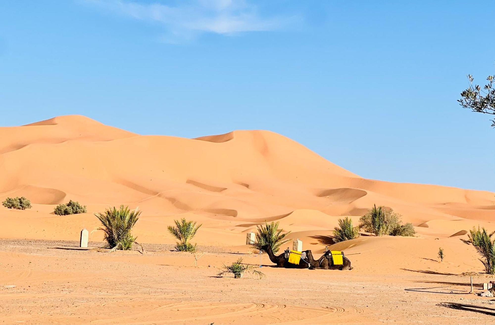 Hotel Camping Les Roses Des Dunes & Piscine Merzouga Εξωτερικό φωτογραφία