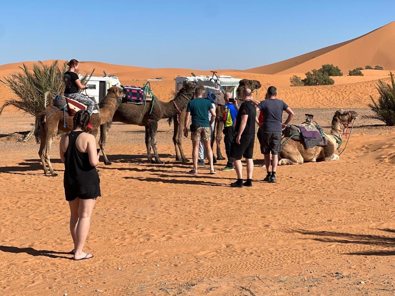Hotel Camping Les Roses Des Dunes & Piscine Merzouga Εξωτερικό φωτογραφία